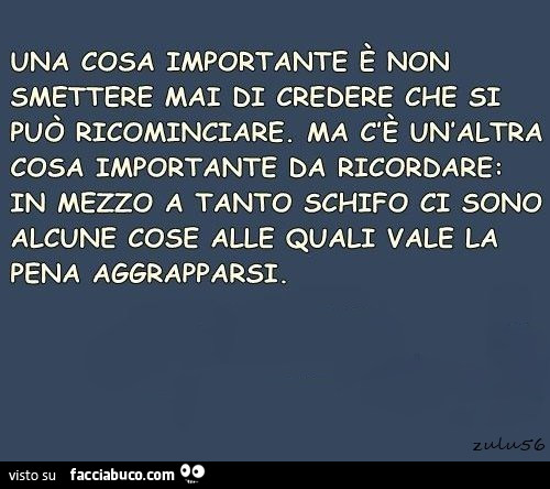 Una cosa importante è non smettere mai di credere che si può ricominciare. Ma c'è un'altra cosa importante da ricordare: in mezzo a tanto schifo ci sono alcune cose alle quali vale la pena aggrapparsi