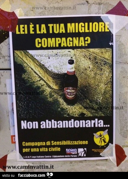 Lei è la tua migliore compagna? Non abbandonarla… campagna di sensibilizzazione per una vita civile