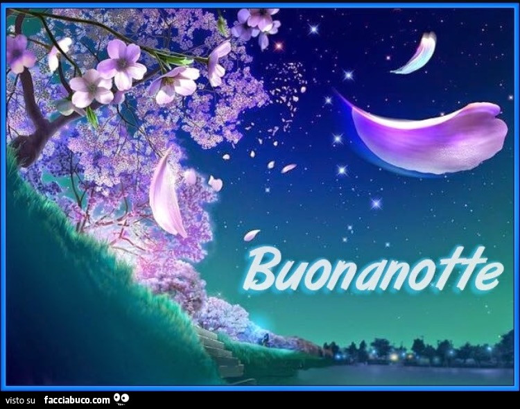 Buonanotte