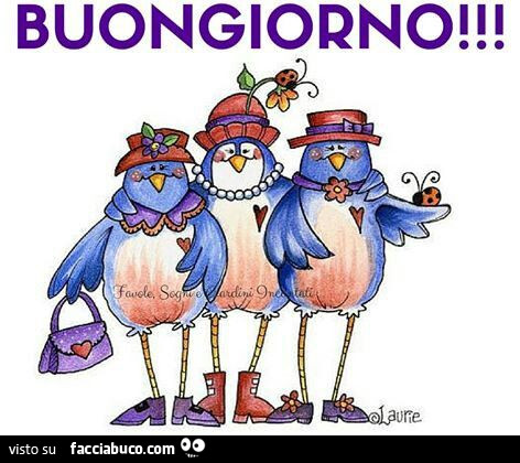Uccellini. Buongiorno