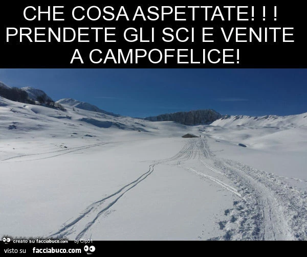 Che cosa aspettate! Prendete gli sci e venite a campofelice