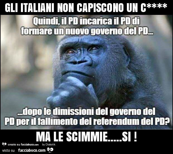 Gli italiani non capiscono un cazzo ma le scimmie… si. Quindi il PD incarica il PD di formare un nuovo governo del PD dopo le dimissioni del governo del PD per il fallimento del referendum del PD?