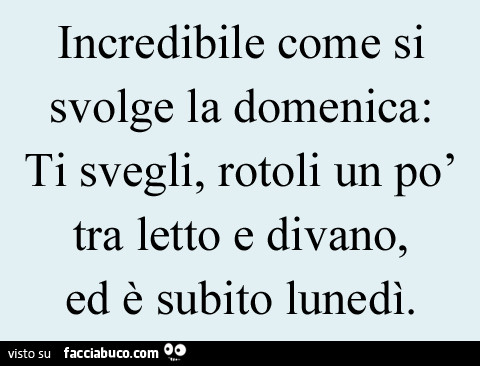 Incredibile come si svolge la domenica: ti svegli, rotoli un po' tra letto e divano, ed è subito lunedì