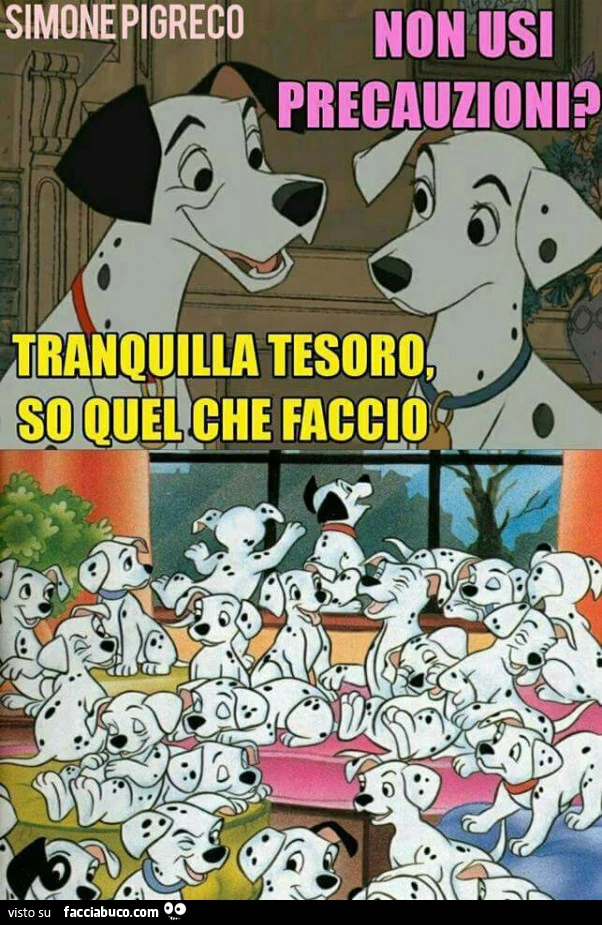 Vaccata