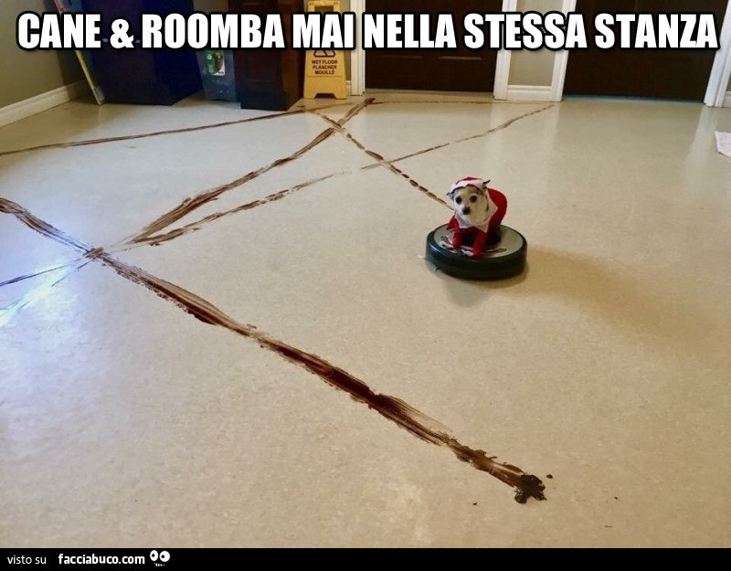 Cane e Roomba mai nella stessa stanza