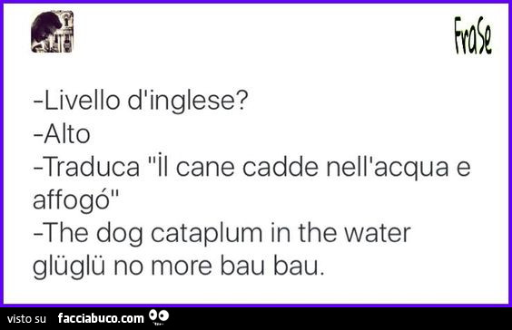 Livello d'inglese? Alto. Traduca il cane cadde nell'acqua e affogò. The dog cataplum in the water gluglu no more bau bau