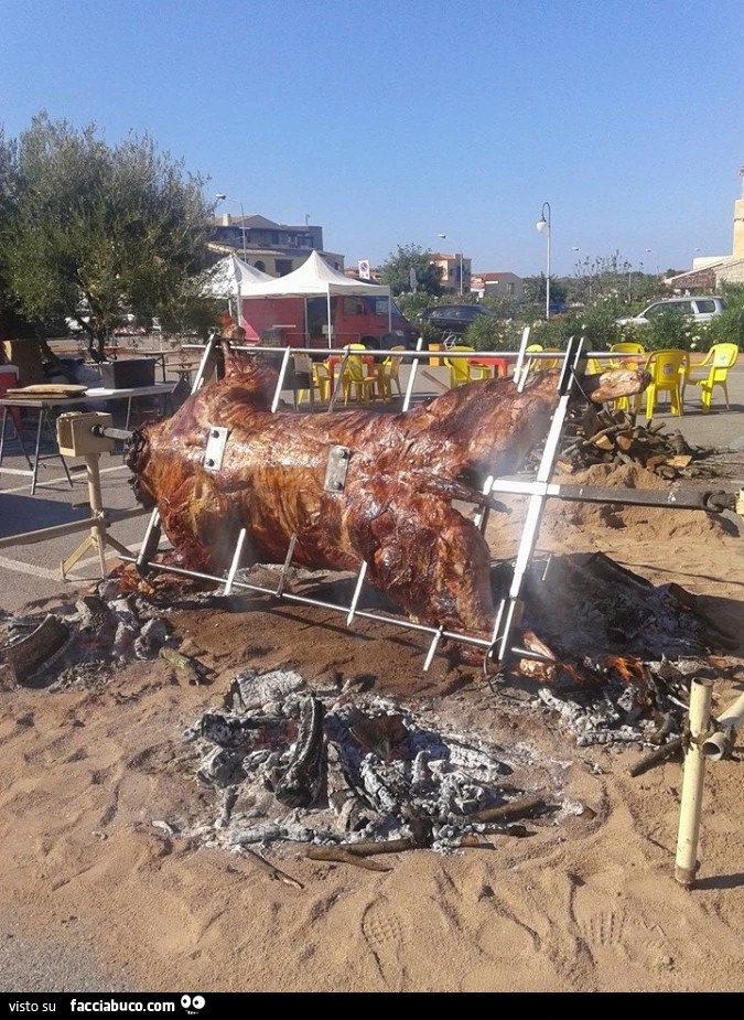 Vaccata