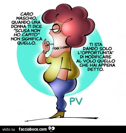 Caro maschio, quando una donna ti dice scusa non ho capito, non significa quello. Ti sta dando solo l'opportunità di modificare al volo quello che hai appena detto