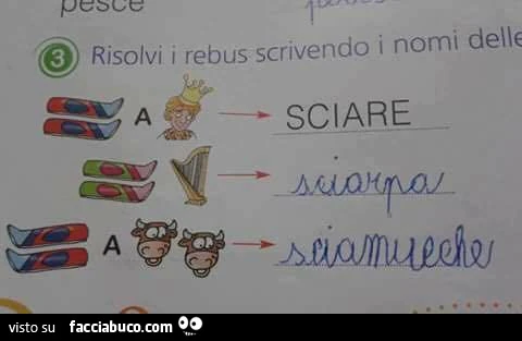 Sciare. Sciarpa. Sciamucche