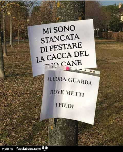 Mi sono stancata di pestare la cacca del tuo cane. Allora guarda dove metti i piedi