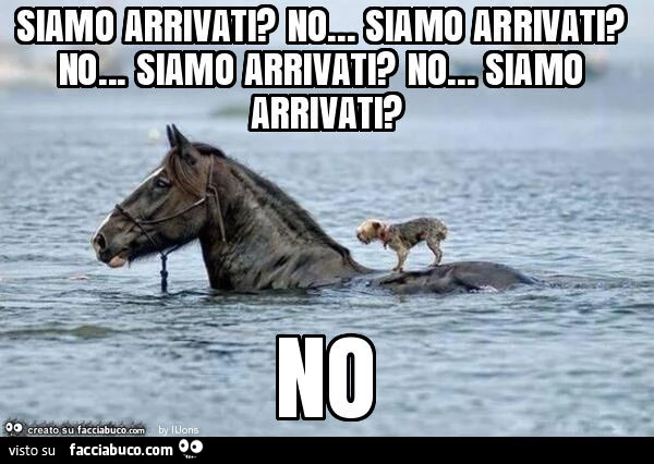 Siamo arrivati? No&hellip; siamo arrivati? No&hellip; siamo arrivati? No&hellip; siamo arrivati? No