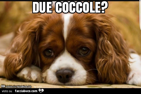 Due coccole?