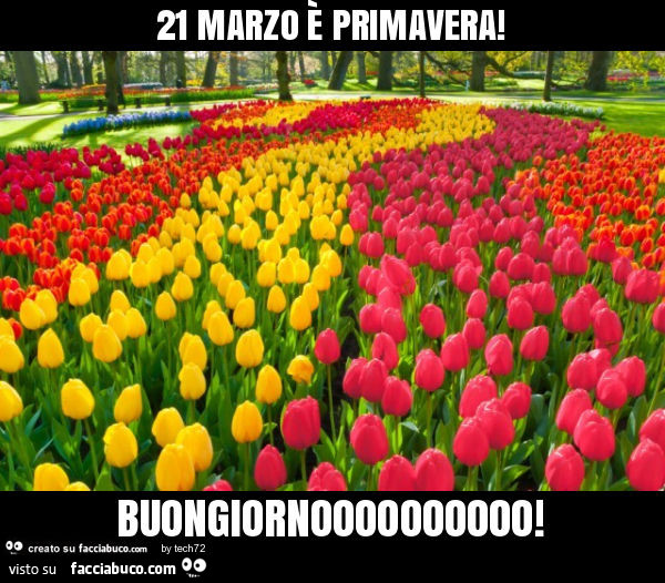 21 marzo è primavera! Buongiornoooooooooo