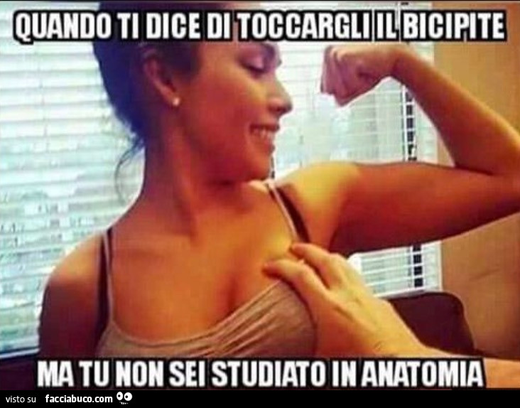 Bicipide