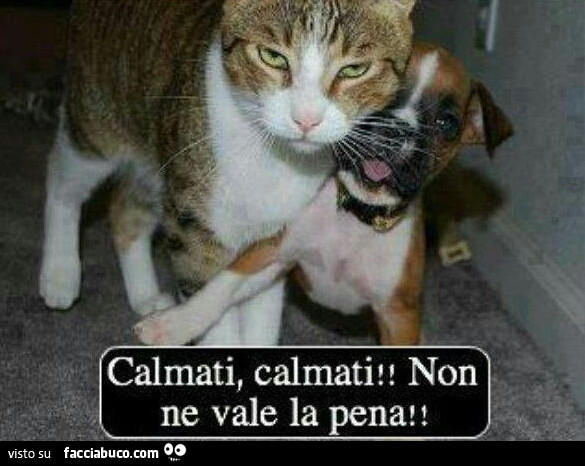 Vaccata
