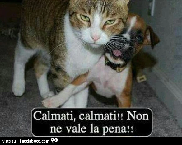 Vaccata