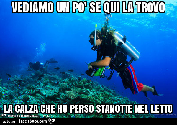 Vediamo un po' se qui la trovo la calza che ho perso stanotte nel letto