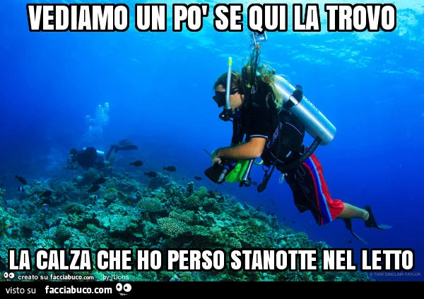 Vediamo un po' se qui la trovo la calza che ho perso stanotte nel letto