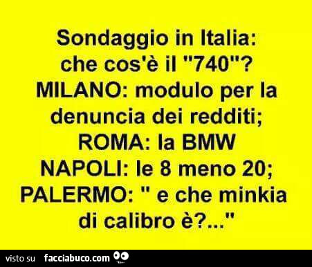 Sondaggio in italia: che cos'è il 740? Milano: modulo per la denuncia dei redditi; roma: la bmw. Napoli: le 8 meno 20; palermo: e che minkia di calibro è?