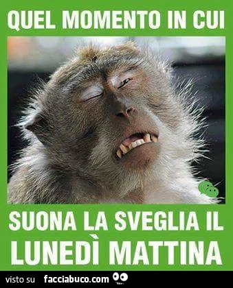 Quel momento in cui suona la sveglia il Lunedì mattina