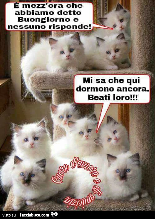 È mezz'ora che abbiamo detto buongiorno e nessuno risponde! Mi sa che qui dormono ancora. Beati loro