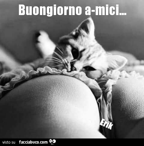 Immagine correlata