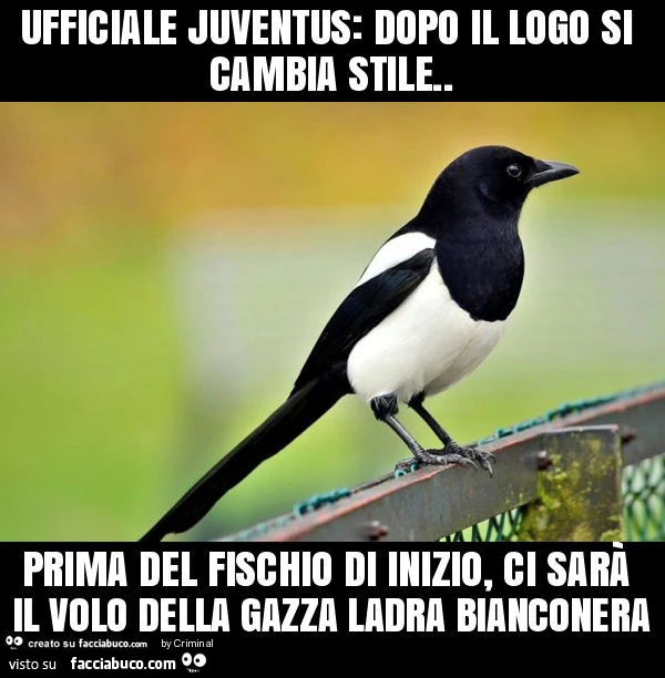 Ufficiale juventus: dopo il logo si cambia stile. Prima del fischio di inizio, ci sarà il volo della gazza ladra bianconera