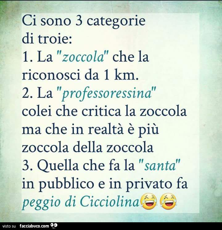 Ci sono 3 categorie di troie: La zoccola che la riconosci da 1 km. La professoressina colei che critica la zoccola ma che in realtà è più zoccola della zoccola. Quella che fa la santa in pubblico e in privato fa peggio di cicciolina