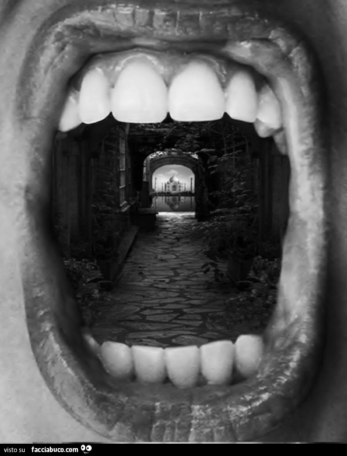 Panorama dentro la bocca