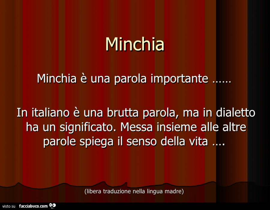 Minchia. Minchia è una parola importante. In Italiano è una brutta parola, ma in dialetto ha un significato. Messa insieme alle altre parole spiega il senso della vita