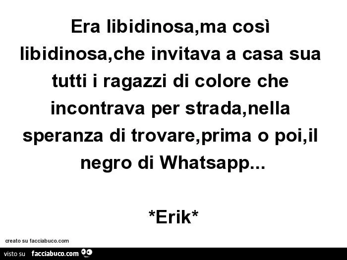 Era libidinosa, ma così libidinosa, che invitava a casa sua tutti i ragazzi di colore che incontrava per strada, nella speranza di trovare, prima o poi, il negro di whatsapp&hellip; *erik*