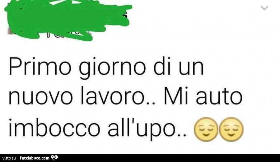 Primo giorno di un nuovo lavoro. Mi auto imbocco all'upo