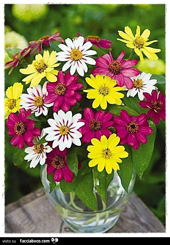 Vaso di fiori