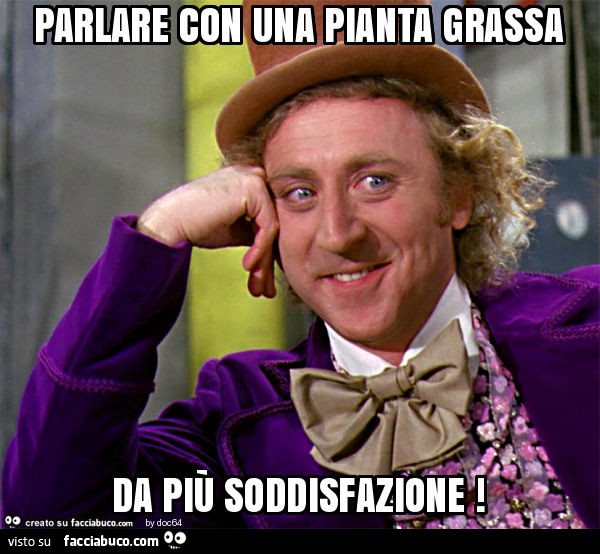 Parlare con una pianta grassa da più soddisfazione