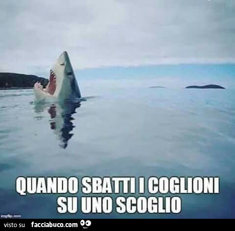 Quando sbatti i coglioni su uno scoglio
