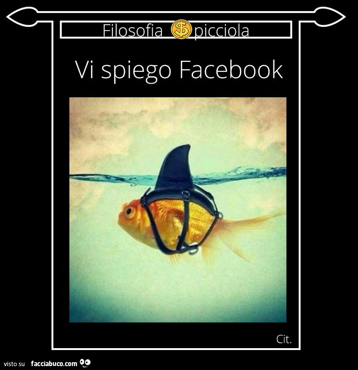 Vi spiego Facebook: pesce rosso con la pinna da squalo