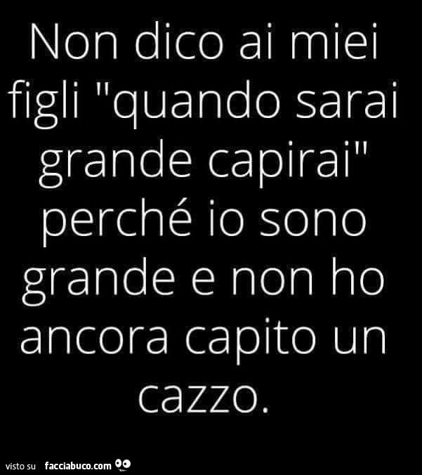 Non dico ai miei figli quando sarai grande capirai perché io sono grande e non ho ancora capito un cazzo
