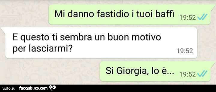 Mi danno fastidio i tuoi baffi. E questo ti sembra un buon motivo per lasciarmi? Si Giorgia, lo è
