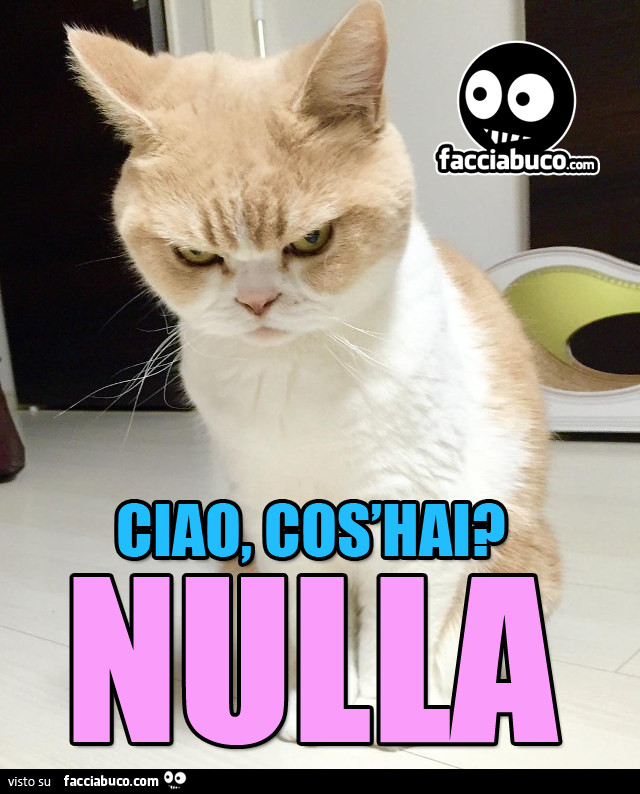 Ciao, cos'hai? Nulla