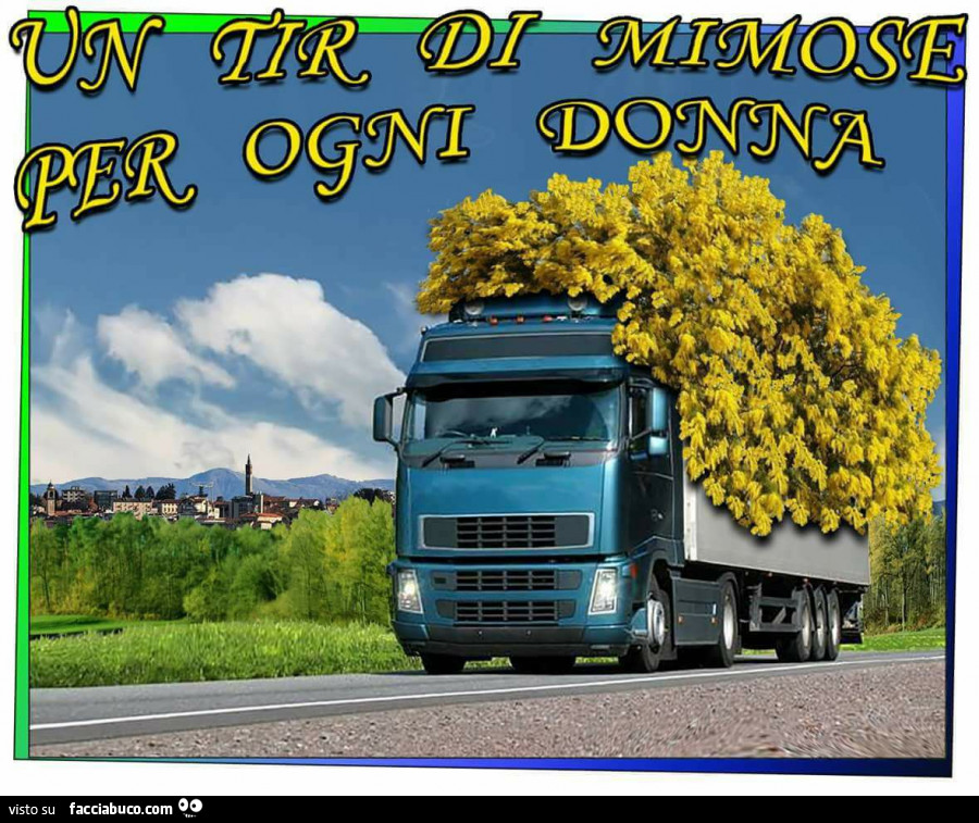 Un tir di mimose per ogni donna