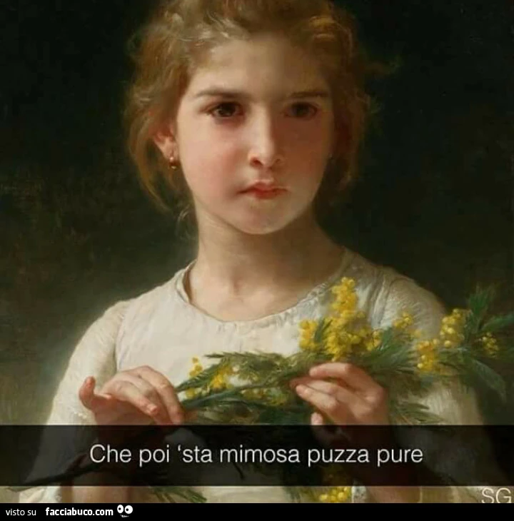 Che poi sta mimosa puzza pure