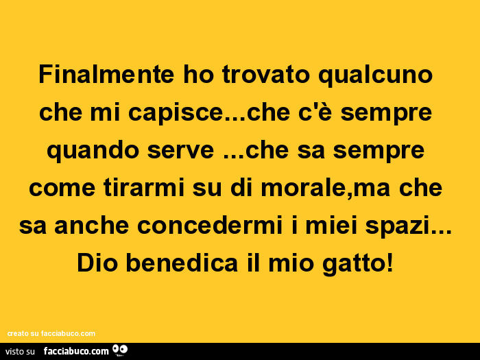 Finalmente ho trovato qualcuno che mi capisce… che c'è sempre quando serve… che sa sempre come tirarmi su di morale, ma che sa anche concedermi i miei spazi… dio benedica il mio gatto