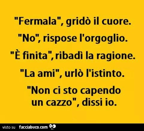 Fermala, gridรฒ il cuore. No, rispose l'orgoglio. ร Finita, ribadรฌ la ragione. La ami, urlรฒ l'istinto. Non ci sto capendo un cazzo, dissi io