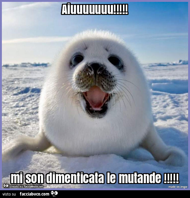 Aiuuu! Mi son dimenticata le mutande