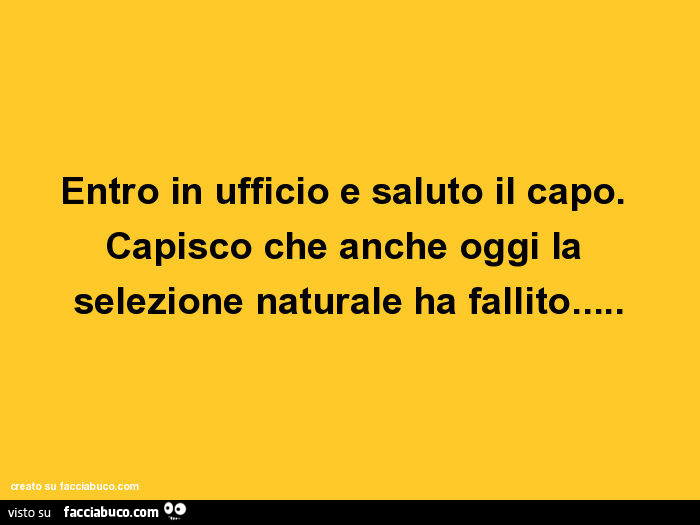 Entro in ufficio e saluto il capo. Capisco che anche oggi la selezione naturale ha fallito