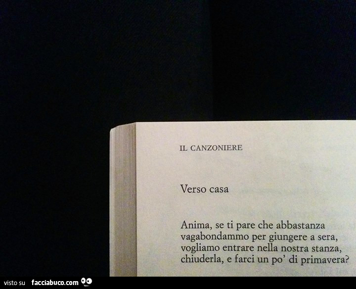 Il Canzoniere. Verso casa: anima, se ti pare che abbastanza vagabondammo per giungere a sera, vogliamo entrare nella nostra stanza, chiuderla, e farci un po' di primavera?