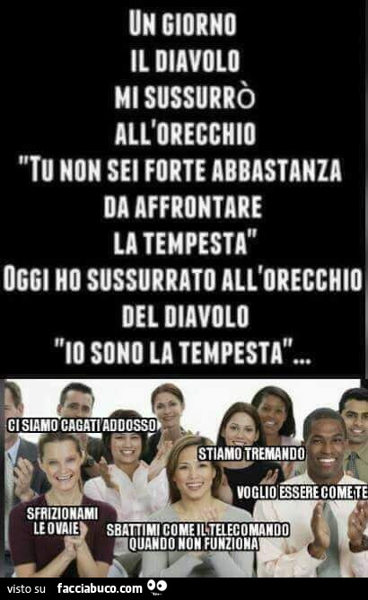 Un giorno il diavolo mi sussurrò all'orecchio: tu non sei forte abbastanza da affrontare la tempesta. Io sono la tempesta. Stiamo tremando