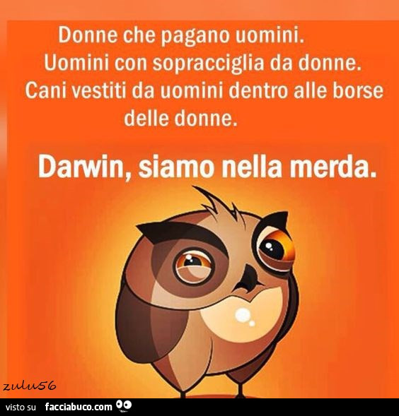 Donne che pagano uomini. Uomini con sopracciglia da donne. Cani vestiti da uomini dentro alle borse delle donne. Darwin, siamo nella merda