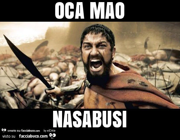 Oca mao nasabusi