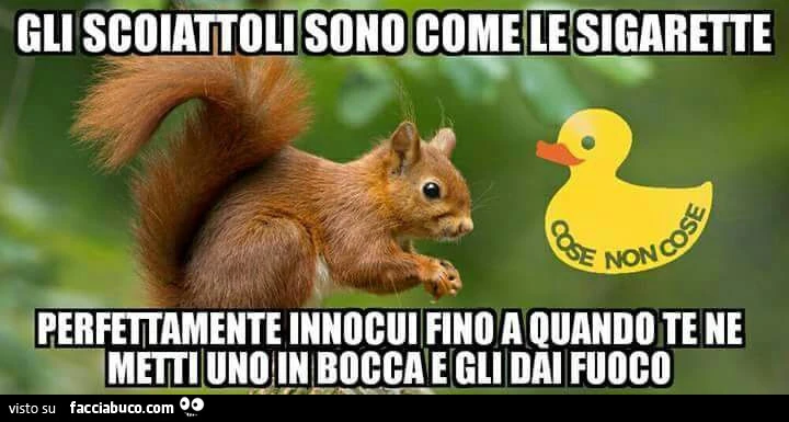 Gli scoiattoli sono come le sigarette, perfettamente innocui fino a quando te ne metti uno in bocca e gli dai fuoco